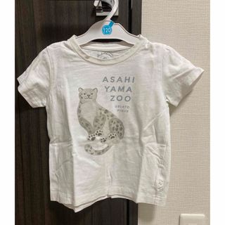 ジェラートピケ 旭山動物園チーターTシャツ(Tシャツ/カットソー)