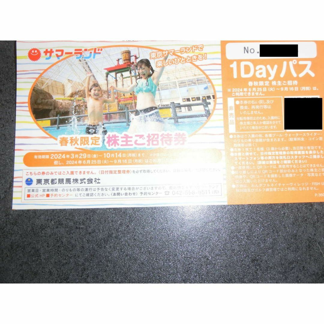 4枚 サマーランド 1Dayパス  チケットの施設利用券(遊園地/テーマパーク)の商品写真