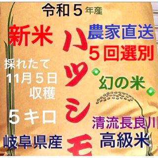 ✳️令和５年産✳️５回色彩選別・有機肥料・送料無料ハツシモ5キロ(米/穀物)