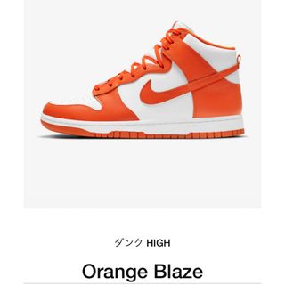 ナイキ(NIKE)のNIKE DUNK HI RETRO (スニーカー)