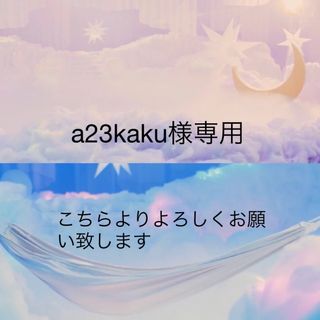 a23kaku様専用(ミニチュア)