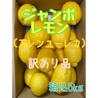 《訳あり品》ジャンボレモン（アレンユーレカ）箱込み5kg(フルーツ)