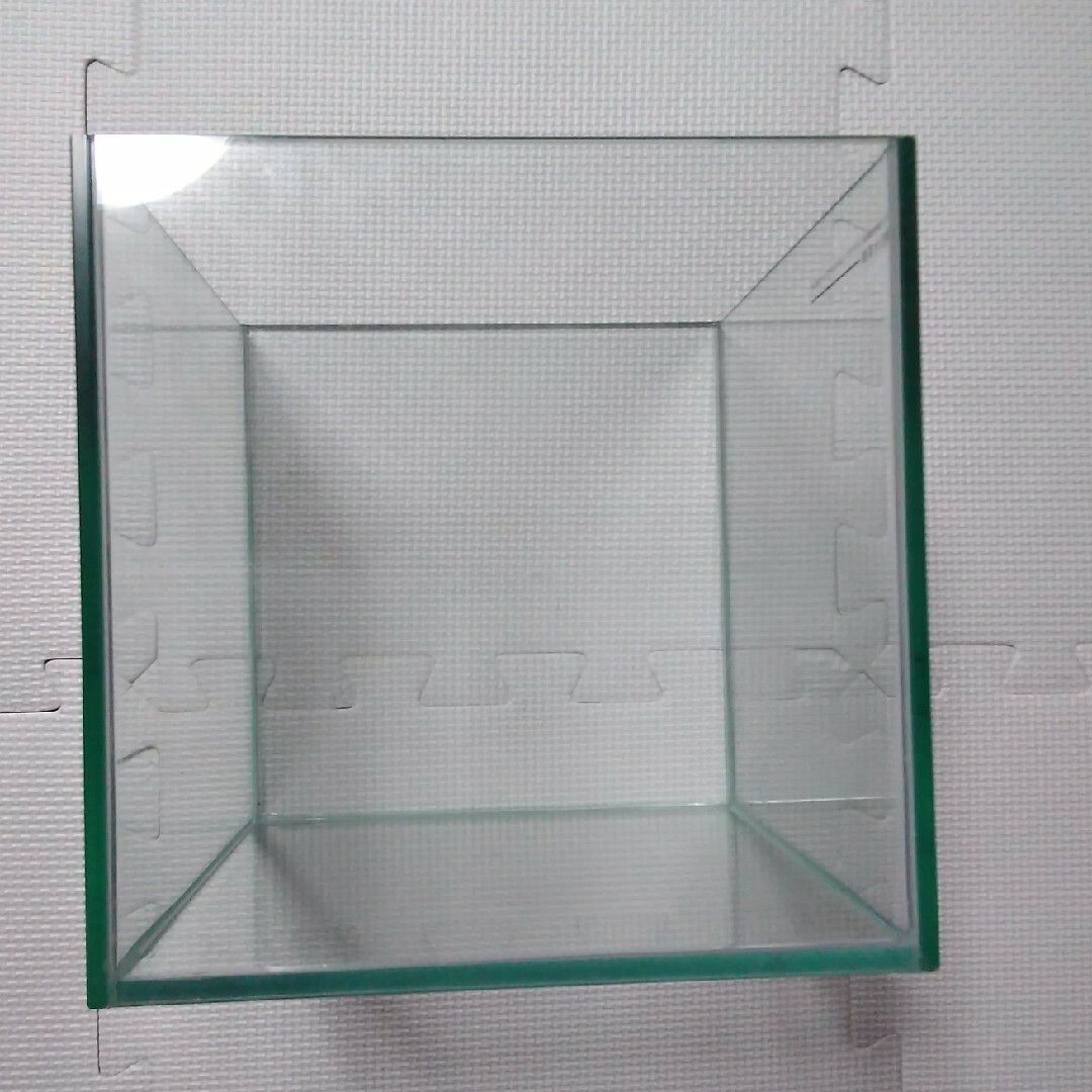 Last) GEX ガラス水槽　正方形　20cm　四角柱　正方形　アクアリウム その他のペット用品(アクアリウム)の商品写真