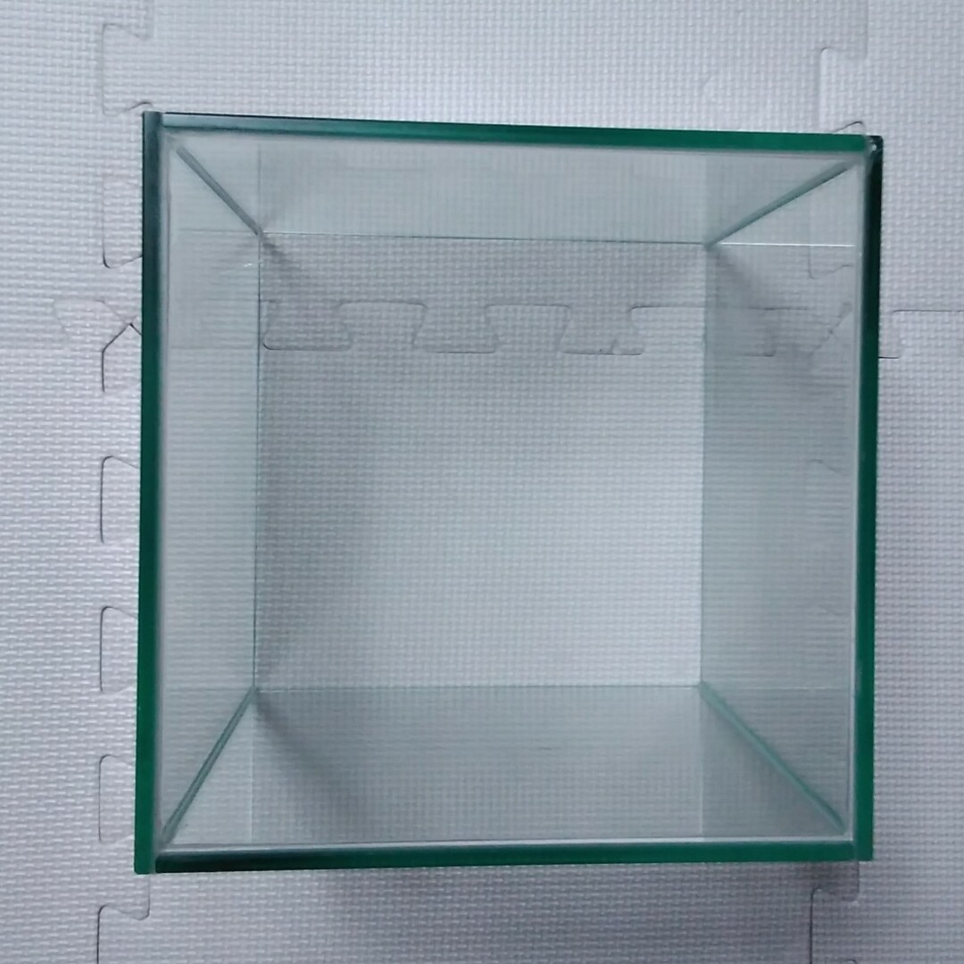 Last) GEX ガラス水槽　正方形　20cm　四角柱　正方形　アクアリウム その他のペット用品(アクアリウム)の商品写真