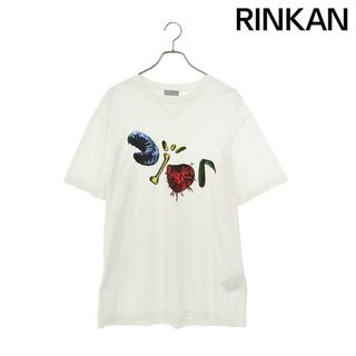 ディオール(Dior)のディオール  213J685C0677 カクタスジャックプリントTシャツ メンズ L(Tシャツ/カットソー(半袖/袖なし))