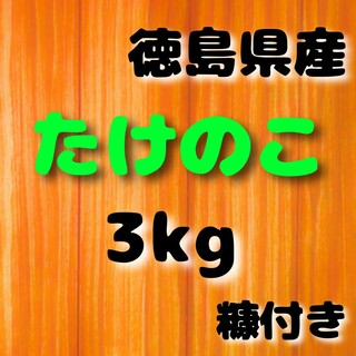 徳島県産たけのこ3kg(野菜)
