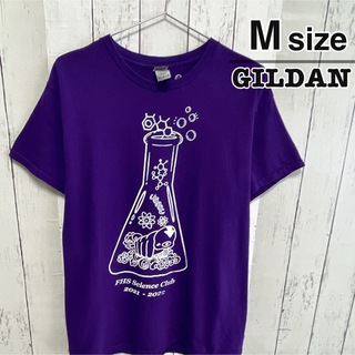 ギルタン(GILDAN)のUSA古着　GILDAN　Tシャツ　M　パープル　紫　プリント　ロゴ　クマムシ(Tシャツ/カットソー(半袖/袖なし))