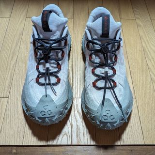 ナイキ(NIKE)のNIKE ACG MOUNTAIN FLY 2 LOW GTX 27.0(その他)