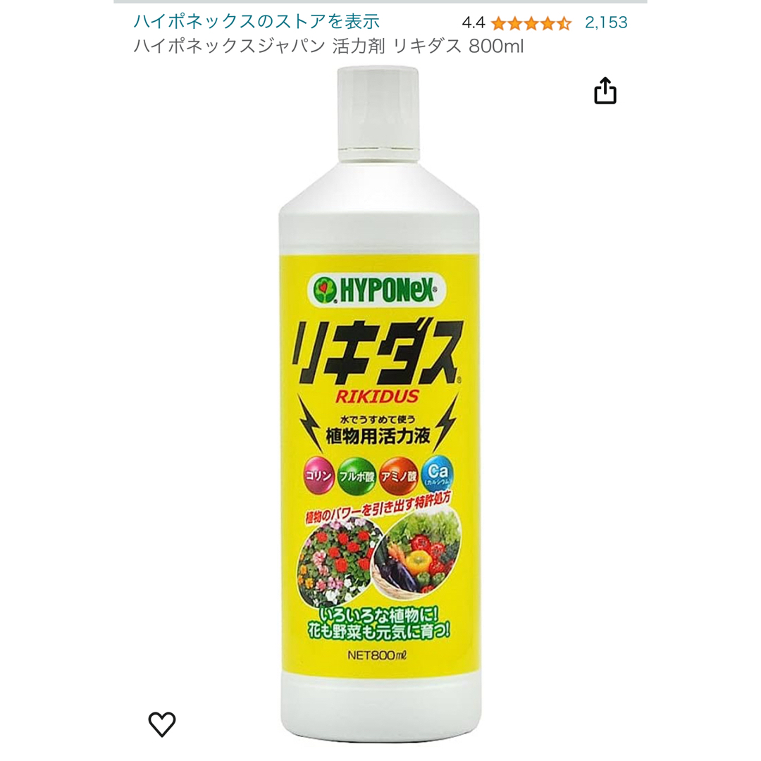 エリゲロン(多年草・グランドカバー)根付苗 たっぷり３０株 植物活性剤10ml付 ハンドメイドのフラワー/ガーデン(プランター)の商品写真