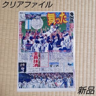 中日ドラゴンズ　優勝 記念 クリアファイル(記念品/関連グッズ)