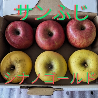 青森県産りんご　6玉　1kg以上　　　《サンふじ＆シナノゴールド》ゆうパケット便(フルーツ)