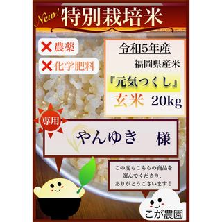 やんゆき様専用　福岡県産「元気つくし」令和５年産　玄米20kg(米/穀物)