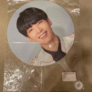 セブンティーン(SEVENTEEN)のウォヌ　うちわ(アイドルグッズ)