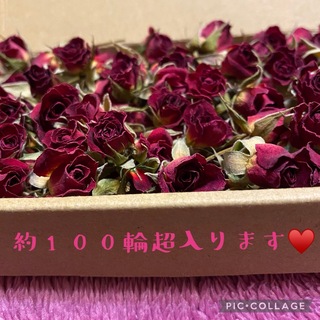 ミニバラ ドライフラワーB品セット★ミニ薔薇をたっぷり詰めて約100輪以上★花材(ドライフラワー)