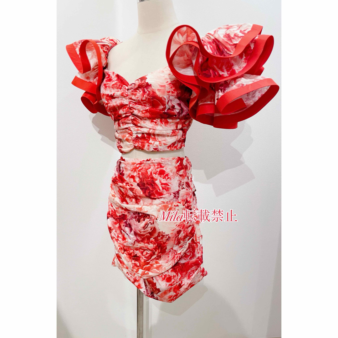 BARNEYS NEW YORK(バーニーズニューヨーク)のelisabetta franchi 花柄　フリル　セットアップ レディースのフォーマル/ドレス(ミニドレス)の商品写真