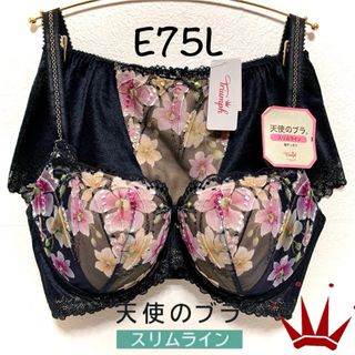 トリンプ(Triumph)のE75L トリンプ  天使のブラ スリムライン555 ブラ＆ショーツBlack (ブラ&ショーツセット)