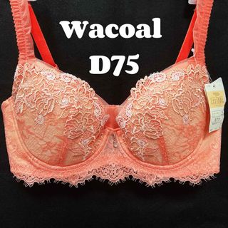 ワコール(Wacoal)のD75  ワコール　ブラジャー　レシアージュ(ブラ)