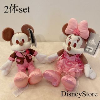 ディズニー(Disney)のピンクミッキーミニーぬいぐるみペアセット ディズニーストア(ぬいぐるみ)