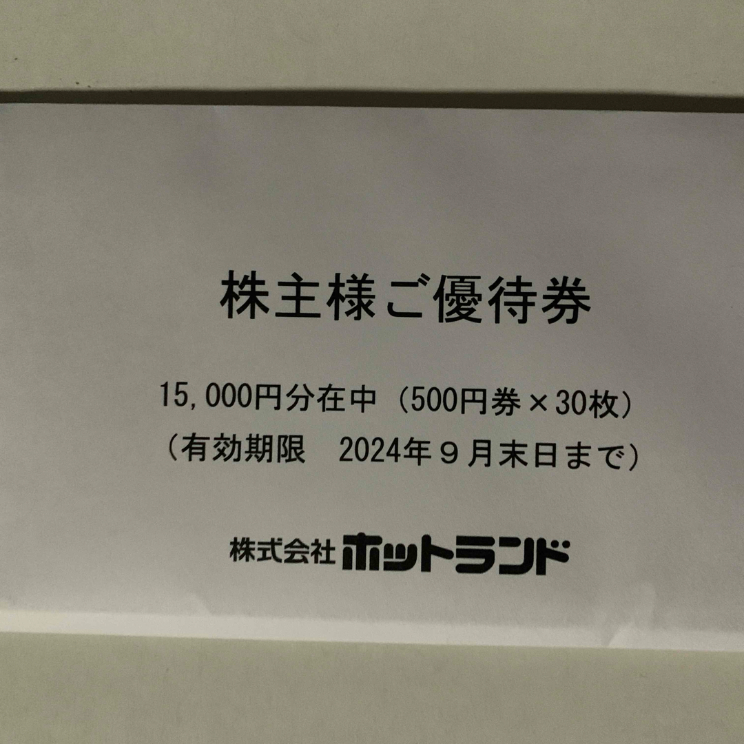 ホットランド　株主優待　15000円分 チケットの優待券/割引券(フード/ドリンク券)の商品写真