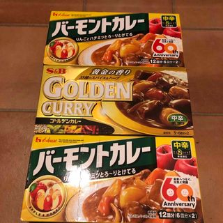 ハウスショクヒン(ハウス食品)のカレー　3箱セット　中辛(レトルト食品)