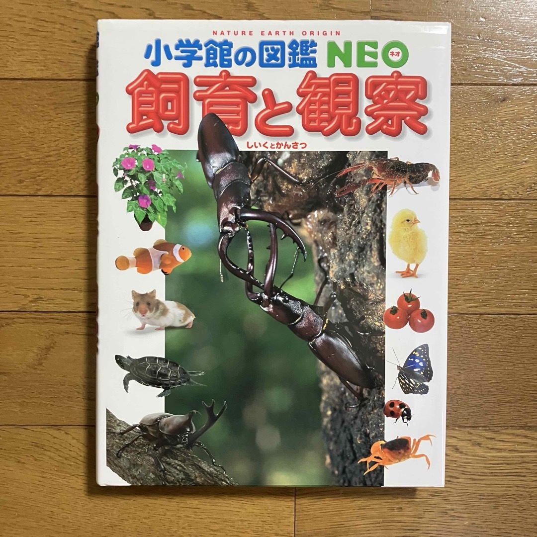 【美品】小学舘の図鑑NEO　飼育と観察 エンタメ/ホビーの本(絵本/児童書)の商品写真