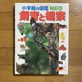 【美品】小学舘の図鑑NEO　飼育と観察(絵本/児童書)