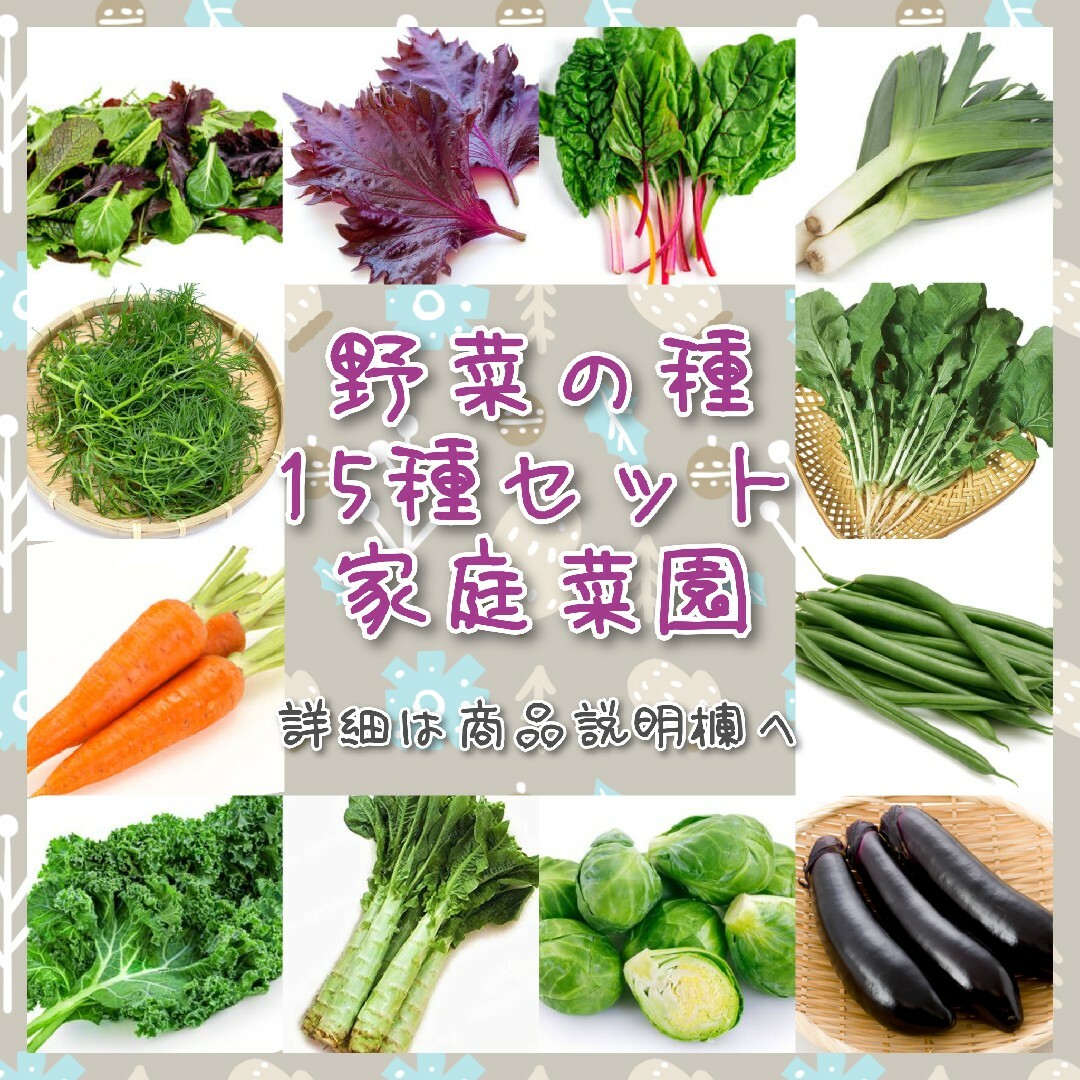 野菜の種 15種セット ビーツ 白菜 とろねぎ エゴマ はなな 家庭菜園 種子 ハンドメイドのフラワー/ガーデン(プランター)の商品写真