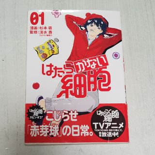 コウダンシャ(講談社)のはたらかない細胞　1　杉本萌(その他)