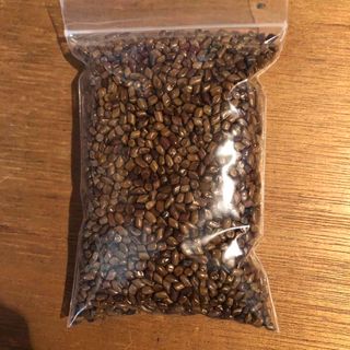 無農薬ハブ茶（エビスグサ）150g