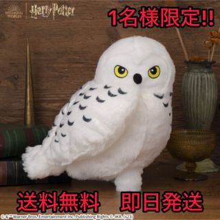 ユニバーサルスタジオジャパン(USJ)の【新品未使用】ヘドウィグ　ジャンボ　ぬいぐるみ　ハリー・ポッター(ぬいぐるみ)