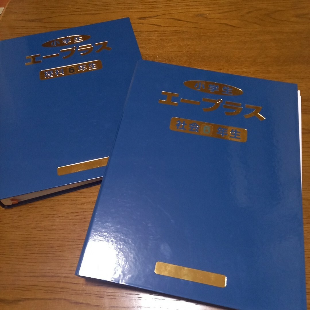 小学生　エープラス　6年生　理科&社会　説明　問題　解説 エンタメ/ホビーの本(語学/参考書)の商品写真