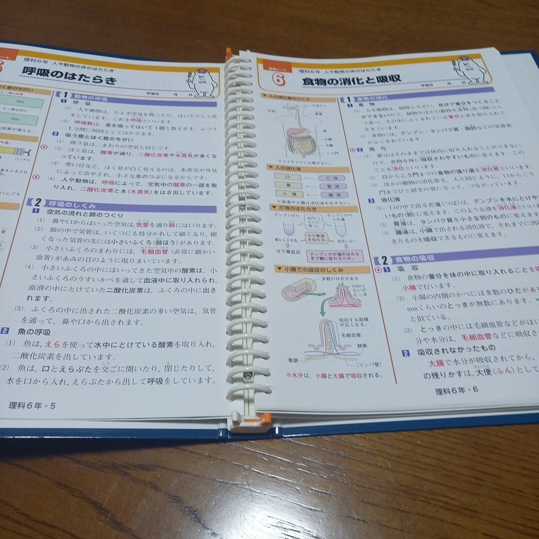 小学生　エープラス　6年生　理科&社会　説明　問題　解説 エンタメ/ホビーの本(語学/参考書)の商品写真