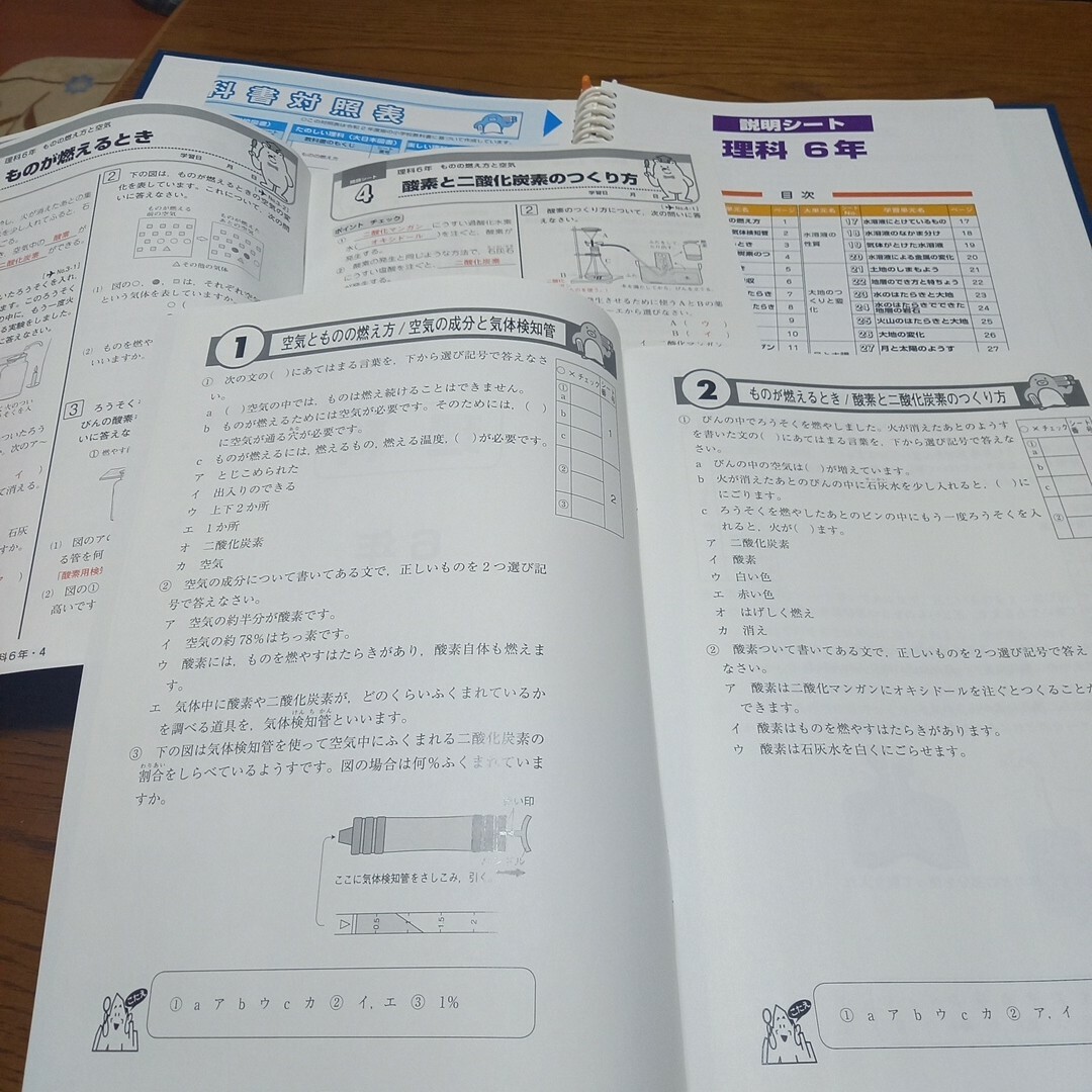 小学生　エープラス　6年生　理科&社会　説明　問題　解説 エンタメ/ホビーの本(語学/参考書)の商品写真