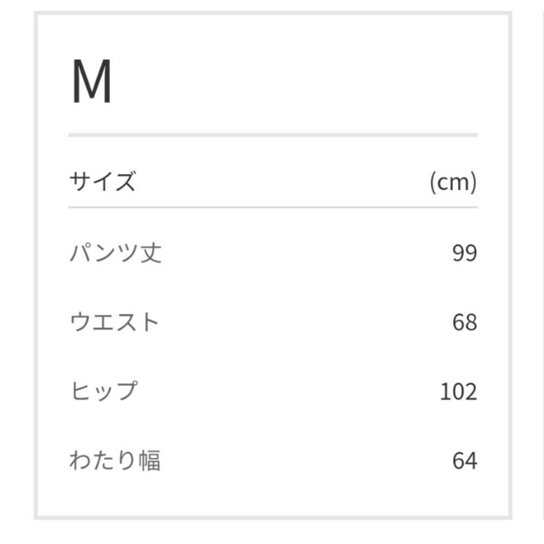 パンツ2点セット レディースのレディース その他(セット/コーデ)の商品写真