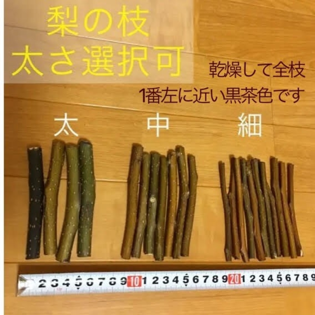 果樹枝 多種 セット 約100g (梱包含) ★うさぎ チンチラ ハムスター その他のペット用品(小動物)の商品写真