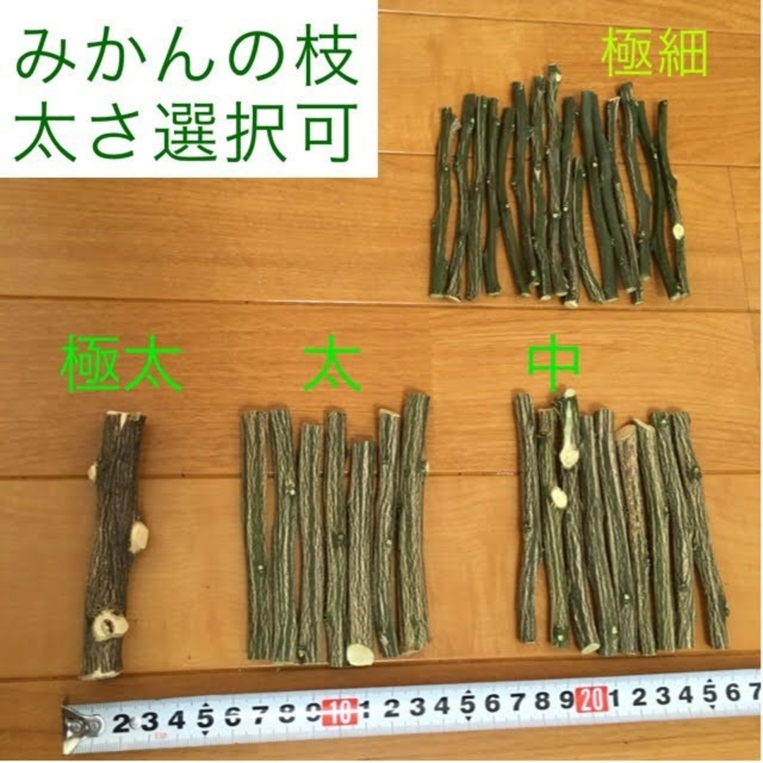 果樹枝 多種 セット 約100g (梱包含) ★うさぎ チンチラ ハムスター その他のペット用品(小動物)の商品写真