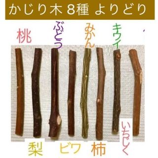 果樹枝 多種 セット 約100g (梱包含) ★うさぎ チンチラ ハムスター(小動物)