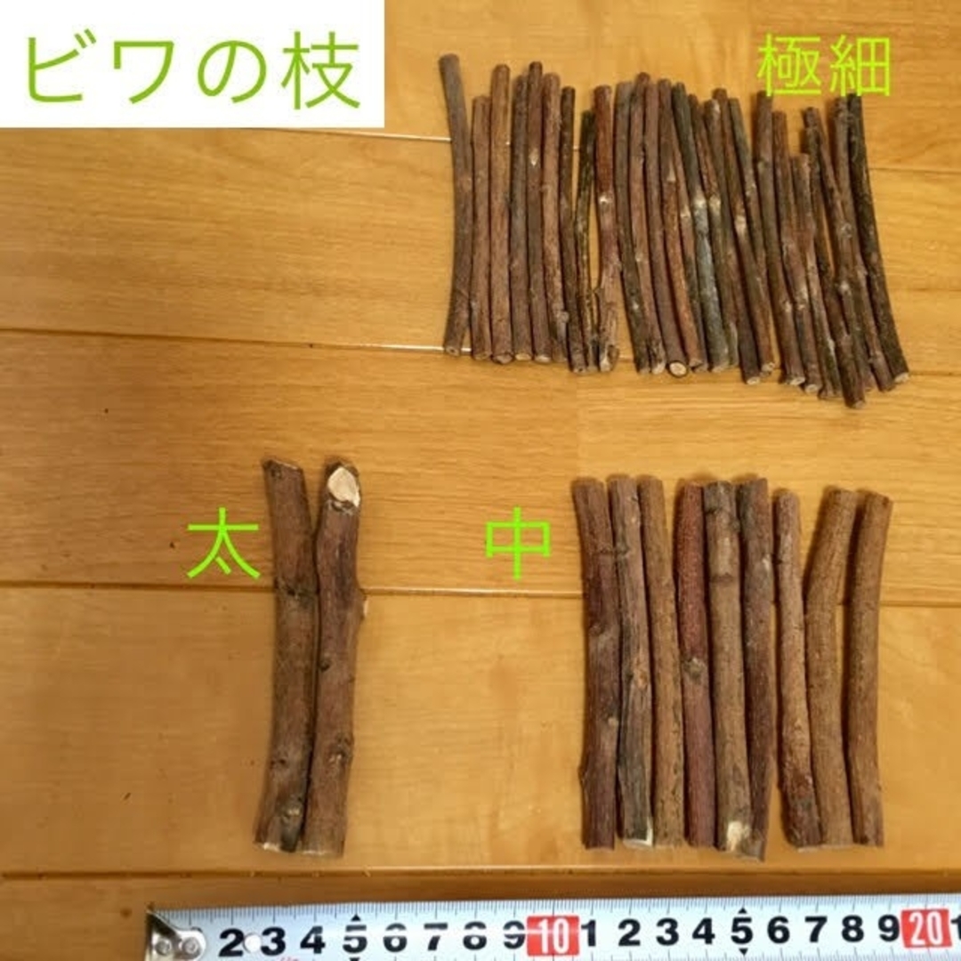 果樹枝 多種 セット 約75g (梱包含) ★うさぎ チンチラ ハムスター その他のペット用品(小動物)の商品写真