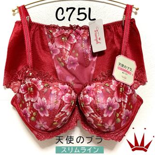 トリンプ(Triumph)のC75L トリンプ  天使のブラ スリムライン555 ブラ＆ショーツ Red(ブラ&ショーツセット)