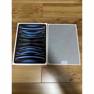 iPad - iPad Pro 11インチ M2チップ 第四世代 256GB