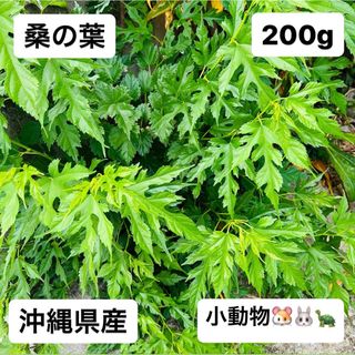 桑の葉　200g  沖縄県産　農薬不使用(小動物)