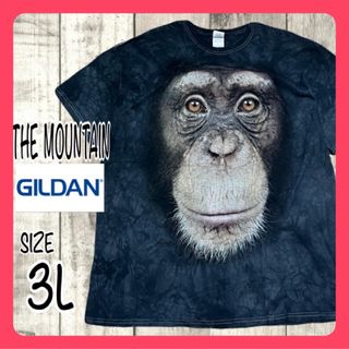 ギルタン(GILDAN)のTHE MOUNTAIN ギルダン 半袖Tシャツ チンパンジー プリント 3L(Tシャツ/カットソー(半袖/袖なし))