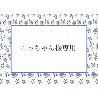 こっちゃん様専用(外出用品)