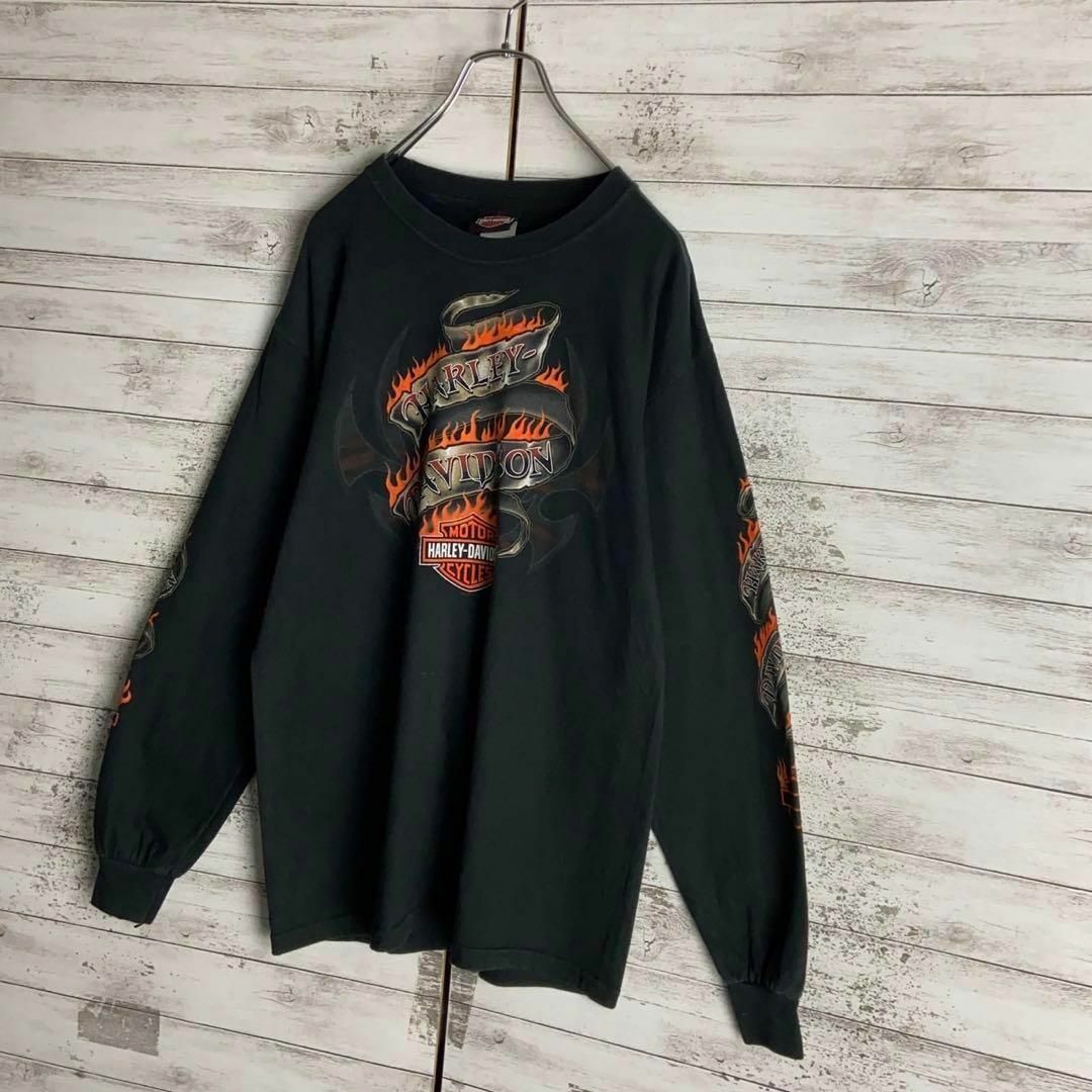 Harley Davidson(ハーレーダビッドソン)の8583【袖ファイヤーパターン】ハーレーダビッドソン☆定番カラーロングtシャツ メンズのトップス(Tシャツ/カットソー(七分/長袖))の商品写真