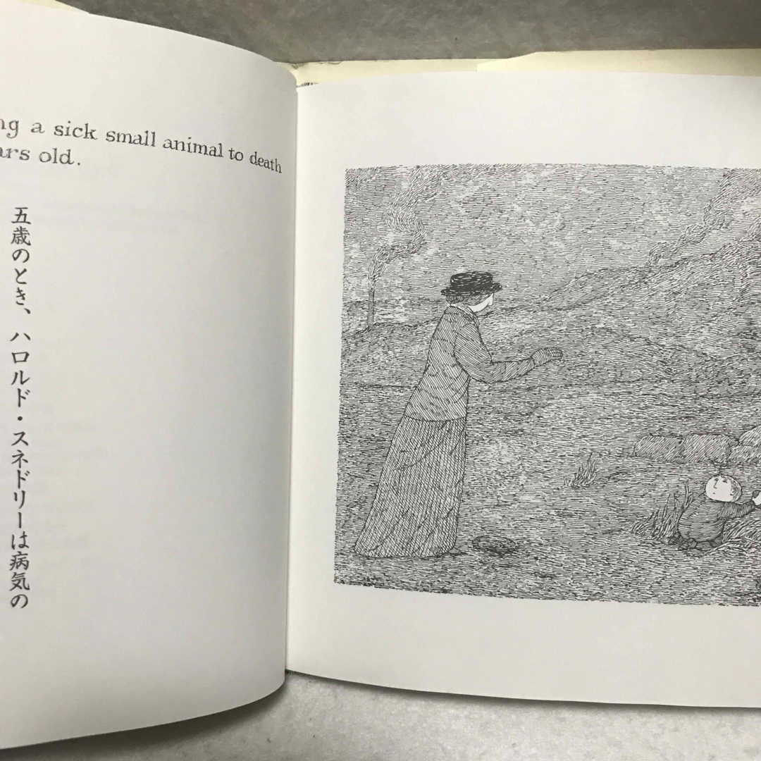 おぞましい二人 エドワード ゴーリー エドワード・ゴーリー 河出書房 エンタメ/ホビーの本(絵本/児童書)の商品写真