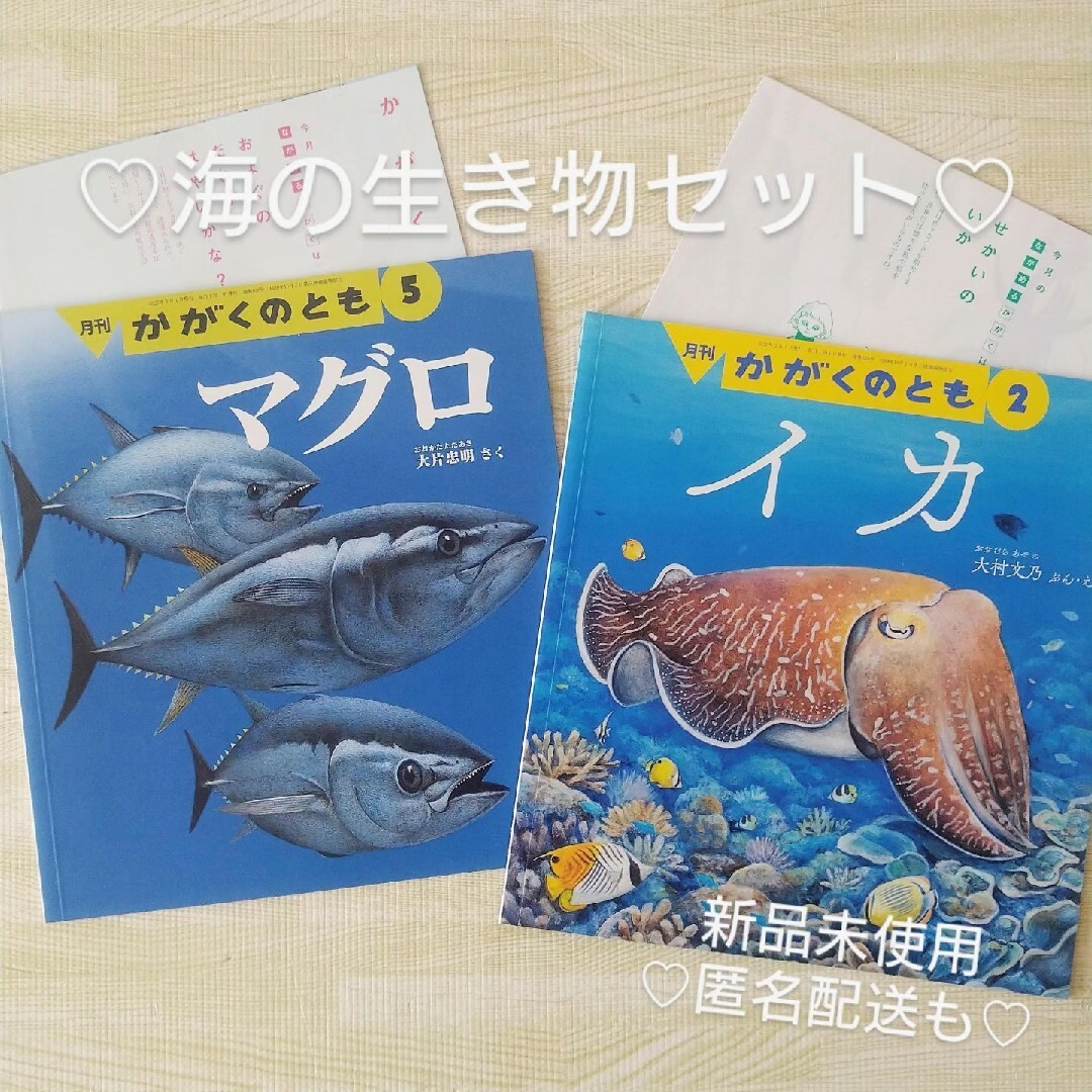 福音館書店(フクインカンショテン)のイカ マグロ いか 福音館書店 絵本 かがくのとも 海 夏 食育 読み聞かせ エンタメ/ホビーの本(絵本/児童書)の商品写真