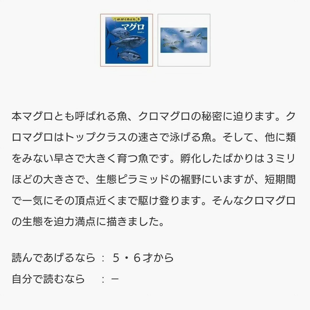 福音館書店(フクインカンショテン)のイカ マグロ いか 福音館書店 絵本 かがくのとも 海 夏 食育 読み聞かせ エンタメ/ホビーの本(絵本/児童書)の商品写真