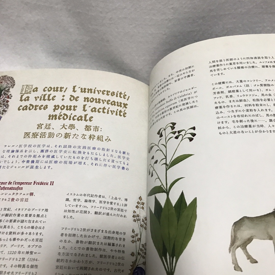 ひみつの薬箱 中世装飾写本で巡る薬草の旅 スローン写本 エンタメ/ホビーの本(アート/エンタメ)の商品写真