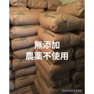 あきたこまち 10kg 農薬不使用 玄米 国産 農家直送 美容 健康 無添加(米/穀物)