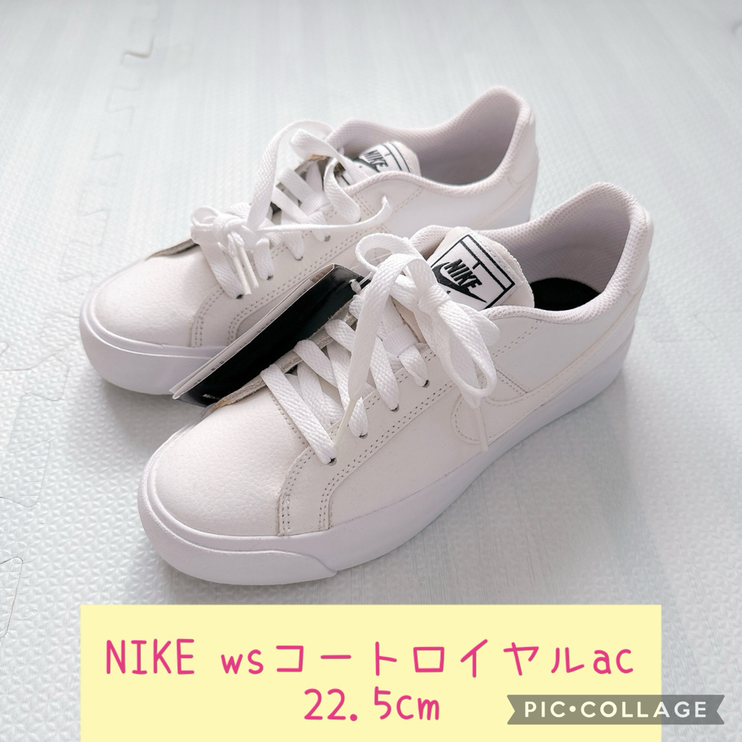 NIKE(ナイキ)のNIKE WSコートロイヤルAC レディースの靴/シューズ(スニーカー)の商品写真